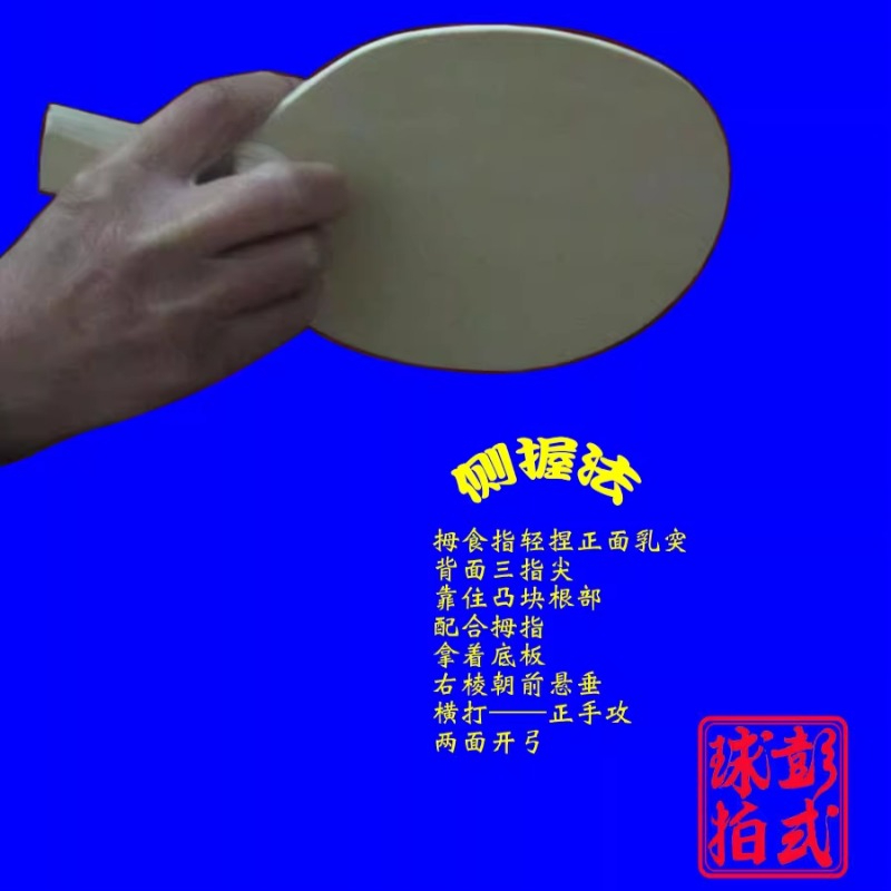 Rakiety do tenisa stołowego w  – Table Tennis In Japanese recenzja i cena