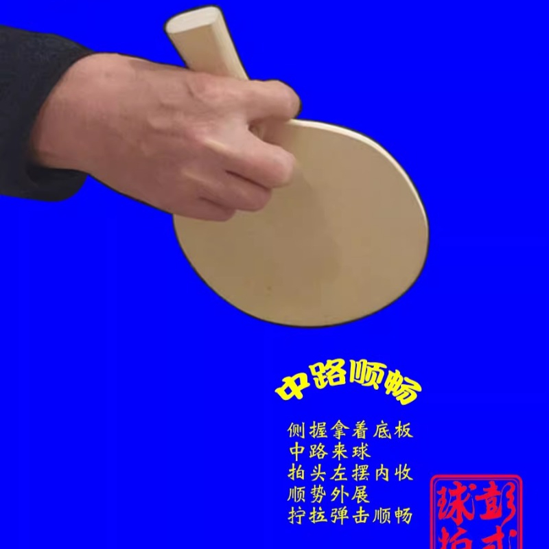 Rakiety do tenisa stołowego w  – Table Tennis In Japanese recenzja i cena